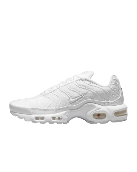 Nike Air Max Plus I White