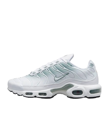 Nike Air Max Plus I White Blue