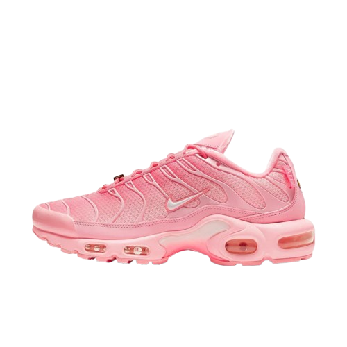 Nike Air Max Plus Atlanta