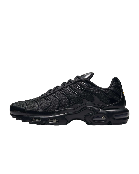 Nike Air Max Plus Black