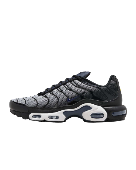 Nike Air Max Plus I SE